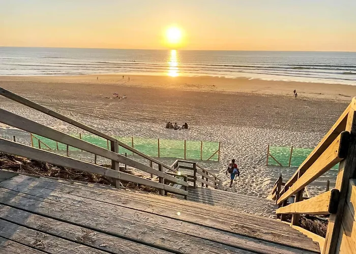 Vaccine-2 By Interhome